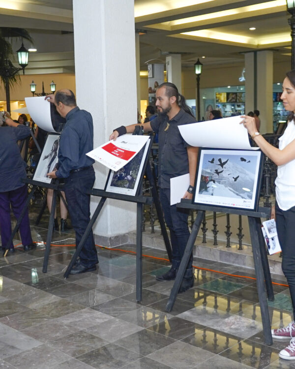 Exposición de alumnos del FFIEL