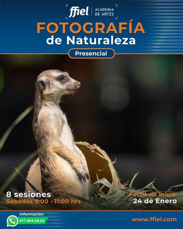 Curso Fotografía de Naturaleza