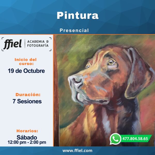 Curso de Pintura